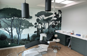 Orthodontistes à Labège (31670)